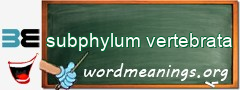 WordMeaning blackboard for subphylum vertebrata